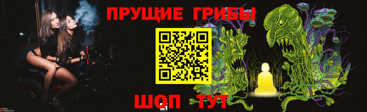 Галлюциногенные грибы мицелий  Вход с VPN  Сухой Лог 